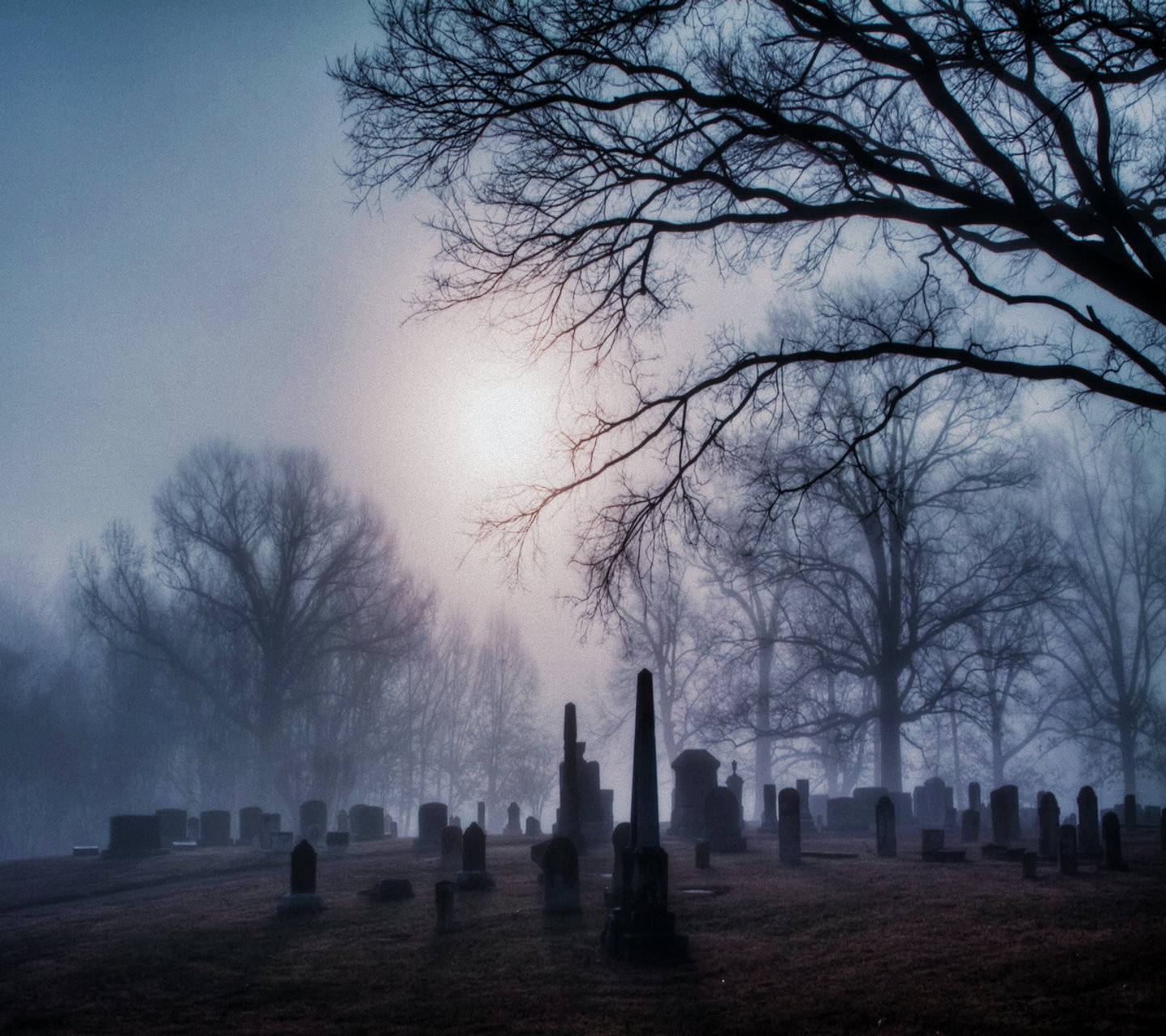 Meet you at the graveyard sovan truong. Мрачное кладбище. Готическое кладбище. Кладбище в готическом стиле. Кладбище референс.